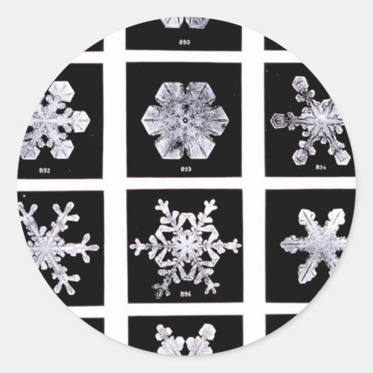 Sticker Rond Wilson Bentley Snowflakes (Devant)