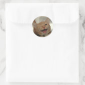 Sticker Rond Winking Happy Ginger Cat (Sac)
