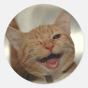 Sticker Rond Winking Happy Ginger Cat