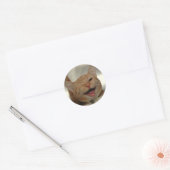 Sticker Rond Winking Happy Ginger Cat (Enveloppe)