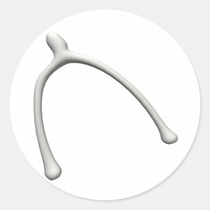 Sticker Rond Wishbone