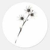 Sticker Rond Witch Hazel Inspired Ink Botanical Art on  (Devant)