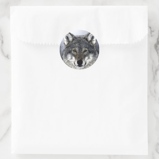 Sticker Rond Wolf Eyes (Sac)