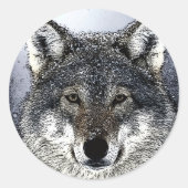 Sticker Rond Wolf Eyes (Devant)