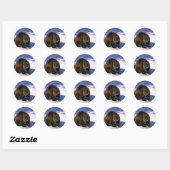 Sticker Rond Wolverine sur neige (Feuille)
