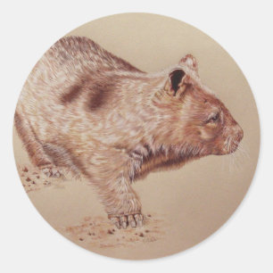 Sticker Rond Wombat