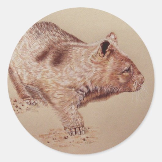 Sticker Rond Wombat (Devant)