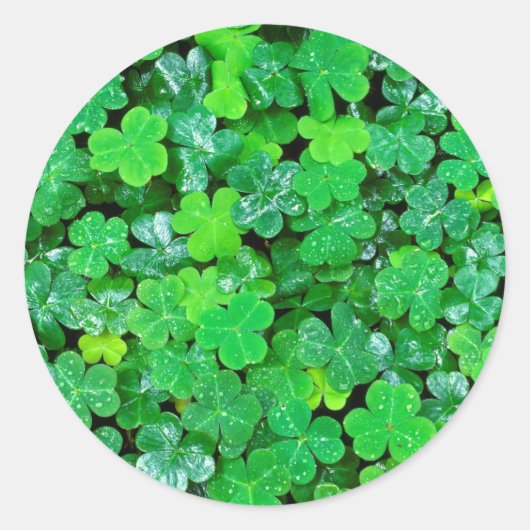 Sticker Rond Wood Sorrel (Devant)