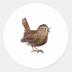 Sticker Rond Wren Bird chante bruyante et belle chanson