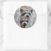 Sticker Rond Wyoming, Lincoln County, Raccoon (Sac)