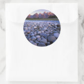 Sticker Rond Wyoming, Parc national de Teton, Snake River (Sac)