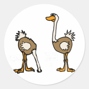 Sticker Rond XX- Ostriches dans le sable
