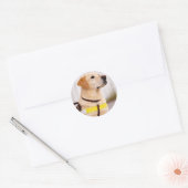 Sticker Rond Yellow Labrador Guide Dog Graduation Envelope Seal (Enveloppe)
