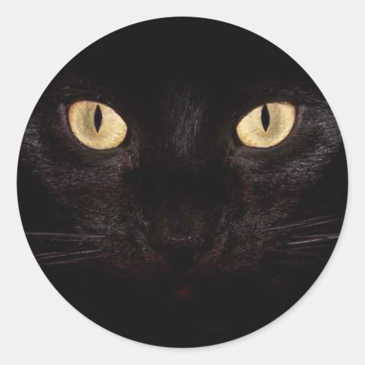 Sticker Rond Yeux de chat noir (Devant)