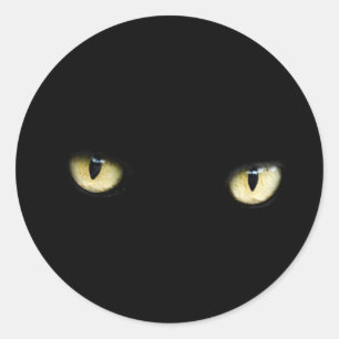 Sticker Rond Yeux de chat noir   Macro oeil chat