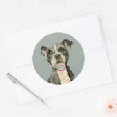 Sticker Rond Yeux de chiot | Chien de Terrier à pute mou (Enveloppe)