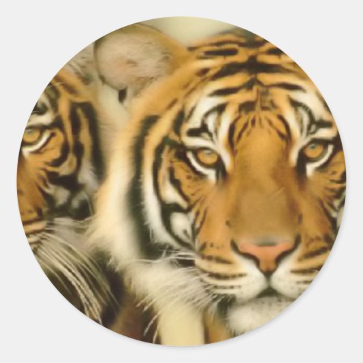 Sticker Rond Yeux de tigre (Devant)