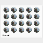 Sticker Rond Yeux du ciel – Portrait majestueux d'aigle Classiq (Feuille)