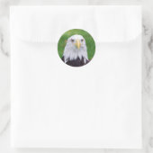 Sticker Rond Yeux d'un aigle (Sac)