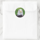 Sticker Rond Yeux d'un aigle chauve (Sac)