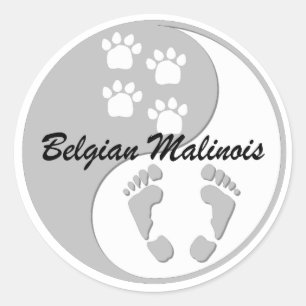 Sticker Rond yin yang Malinois belge