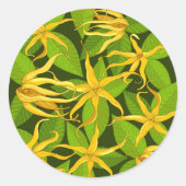 Sticker Rond Ylang Ylang Fleurs Parfumées Exotiques (Devant)