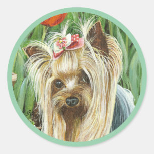 Sticker Rond Yorkie dans les tulipes