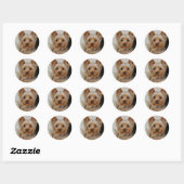 Sticker Rond Yorkshire Terrier (Feuille)