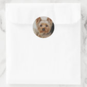 Sticker Rond Yorkshire Terrier (Sac)