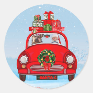Sticker Rond Yorkshire Terrier Chien dans une voiture avec le P