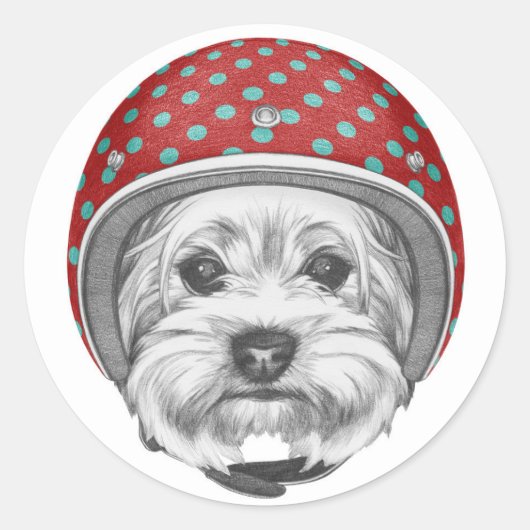 Sticker Rond Yorkshire Terrier Daredevil (Devant)