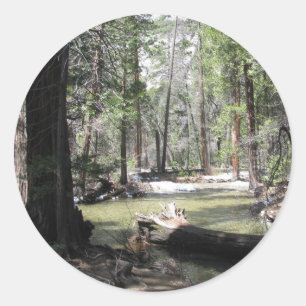 Sticker Rond Yosemite Woods