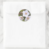 Sticker Rond Yoshino Cherry:Seal (Sac)