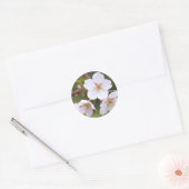 Sticker Rond Yoshino Cherry:Seal (Enveloppe)