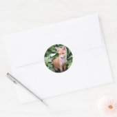 Sticker Rond Young Fox 1 (Enveloppe)