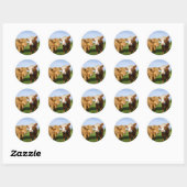 Sticker Rond Young Highland Cows (Feuille)