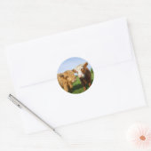 Sticker Rond Young Highland Cows (Enveloppe)