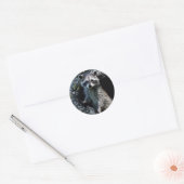 Sticker Rond Young Raccoon (Enveloppe)