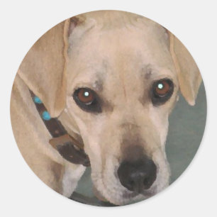 Sticker Rond YY - Baguettes de pup mignonnes