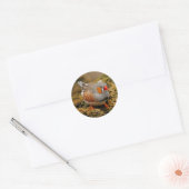 Sticker Rond Zebra Finch sur les rochers (Enveloppe)