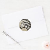 Sticker Rond Zèbre (Enveloppe)