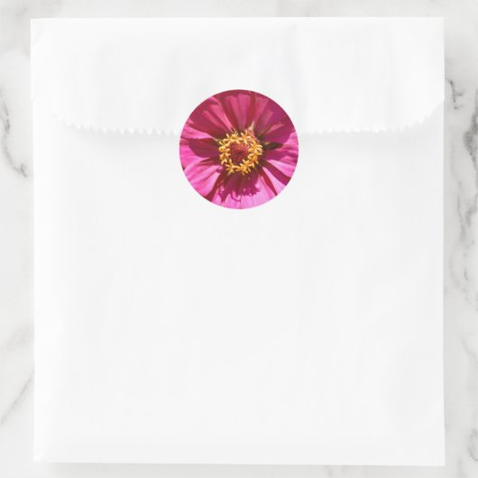 Sticker Rond Zinnia Elegans rose (Sac)