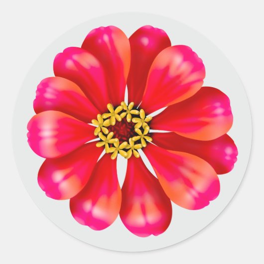 Sticker Rond Zinnia rose (Devant)