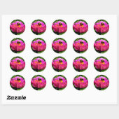 Sticker Rond Zinnia rose avec bourdon, fleurs roses, abeille mi (Feuille)