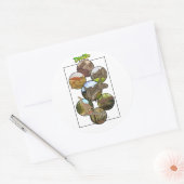 Sticker Rond Zoo Dino : Collage Dinosaur #2 (Enveloppe)