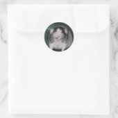 Sticker Rond Zorro (Sac)