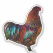 Sticker Rooster Vibrant - Agritourisme (Devant)
