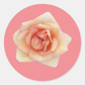 Sticker Rose (Devant)
