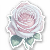 Sticker Rose blanche rose enchantée (Devant)