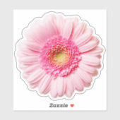 Sticker Rose Daisy (Feuille)